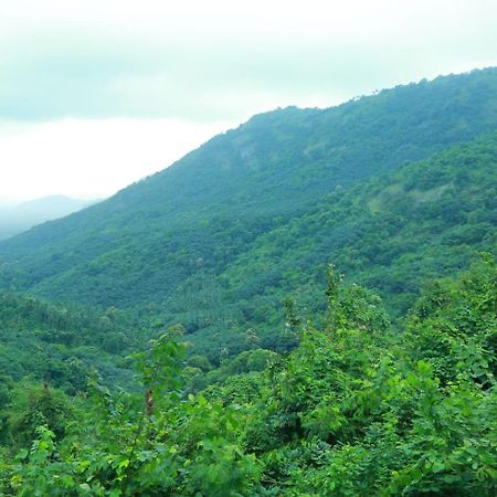 Whiteflower Mountain Resort Perintalmanna 외부 사진